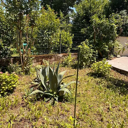 דירה With Hot Tub - Pobri, - 27506 *